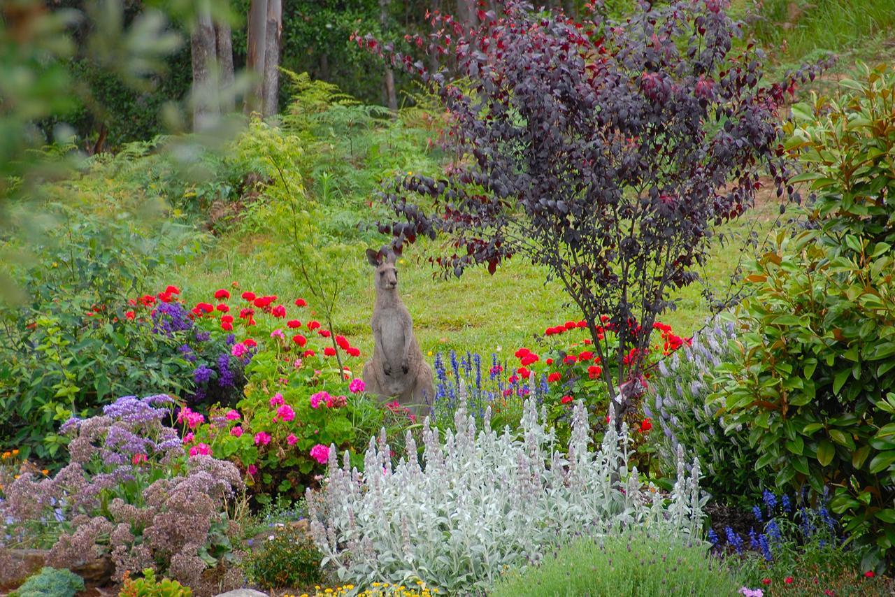 SkyView Villa Kangaroo Valley Zewnętrze zdjęcie